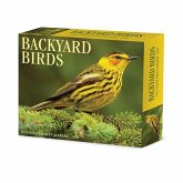 Backyard Birds 2026 5.4 X 6.2 Box Calendar Backyard Birds 2026 5.4 X 6.2 Box Calendar