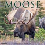 Moose 2026 Wall Calendar