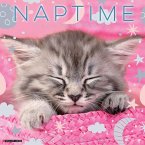 Naptime: A Cat's Favorite Pastime 2026 12 X 12 Wall Calendar Naptime: A Cat's Favorite Pastime 2026 12 X 12 Wall Calendar