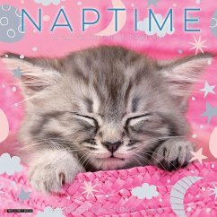 Naptime: A Cat's Favorite Pastime 2026 12 X 12 Wall Calendar - Willow Creek Press