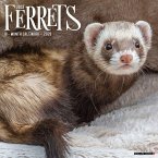 Ferrets 2026 Wall Calendar Ferrets 2026 Wall Calendar