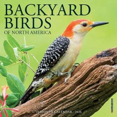 Backyard Birds 2026 7 X 7 Mini Wall Calendar - Willow Creek Press Backyard Birds 2026 7 X 7 Mini Wall Calendar - Willow Creek Press
