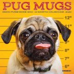 Pug Mugs 2026 Mini Wall Calendar