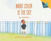 What Color is the Sky What Color is the Sky