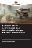 L'impact socio-économique des découvertes de gaz naturel: Mozambique