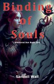 Binding of Souls Binding of Souls