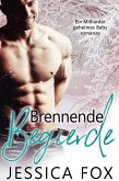 Brennende Begierde (eBook, ePUB)