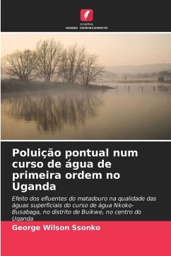 Cover Poluição pontual num curso de água de primeira ordem no Uganda