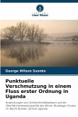 Punktuelle Verschmutzung in einem Fluss erster Ordnung in Uganda Punktuelle Verschmutzung in einem Fluss erster Ordnung in Uganda