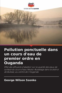 Pollution ponctuelle dans un cours d'eau de premier ordre en Ouganda - Ssonko, George Wilson