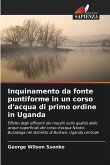 Inquinamento da fonte puntiforme in un corso d'acqua di primo ordine in Uganda
