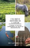 Une brève histoire de l'Assam   L'Assam, le pays du rhinocéros, du thé et du Brahmapoutre Une brève histoire de l'Assam   L'Assam, le pays du rhinocéros, du thé et du Brahmapoutre