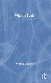 What is Soul?