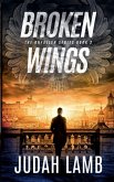 Broken Wings Broken Wings