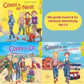 Conni & Co 1-3: Die große Conni & Co Hörbuch-Sammlung (MP3-Download)