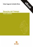 Derecho del Trabajo (eBook, ePUB)