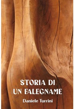 STORIA DI UN FALEGNAME (eBook, ePUB) - Turrini, Daniele