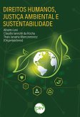 Direitos humanos, justiça ambiental e sustentabilidade (eBook, ePUB)