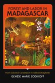 Forest and Labor in Madagascar (eBook, ePUB)