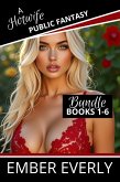 A Hotwife Public Fantasy - The Bundle (A Hotwife Fantasy - Bundles, #9) (eBook, ePUB)