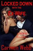 Lock Down With The Ex-Wife: A BDSM Love Story (First Time BDSM, #4) (eBook, ePUB)
