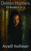 Demon Hunters Volumes 1-3 (eBook, ePUB) Demon Hunters Volumes 1-3 (eBook, ePUB)