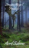Promise (Dragon Mage, #1) (eBook, ePUB)
