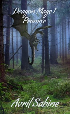 Cover Promise (Dragon Mage, #1) (eBook, ePUB)