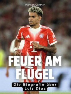 Cover Feuer am Flügel