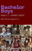 Bachelor Boys - Bundle 2 (eBook, ePUB) Bachelor Boys - Bundle 2 (eBook, ePUB)
