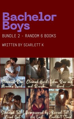 Cover Bachelor Boys - Bundle 2 (eBook, ePUB)