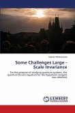 Some Challenges Large - Scale Invariance
