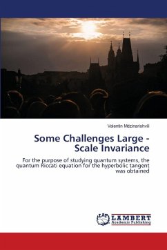Some Challenges Large - Scale Invariance - Mdzinarishvili, Valentin