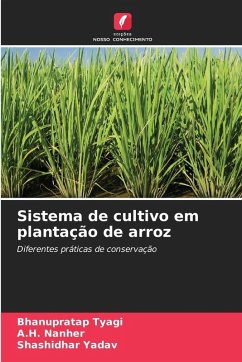 Cover Sistema de cultivo em plantação de arroz