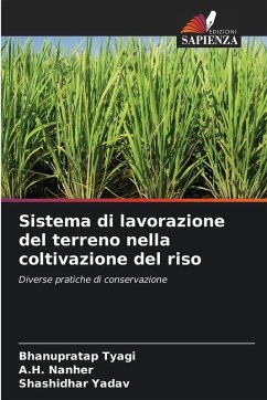Cover Sistema di lavorazione del terreno nella coltivazione del riso