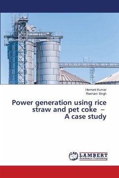 Cover Power generation using rice straw and pet coke - A case study