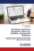Nonlinear Evolution Equations: Blow-up, Stability, Asymptotic Behavior