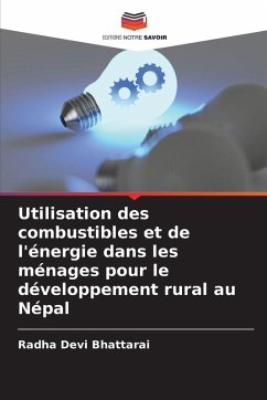 Cover Utilisation des combustibles et de l'énergie dans les ménages pour le développement rural au Népal