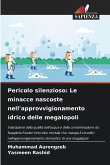 Pericolo silenzioso: Le minacce nascoste nell'approvvigionamento idrico delle megalopoli
