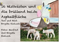 Sechszehn Nistkästen und die brüllend heiße Asphaltfläche Sechszehn Nistkästen und die brüllend heiße Asphaltfläche