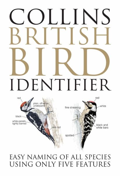 Collins British Bird Identifier Collins British Bird Identifier