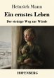 Ein ernstes Leben - Bild 1