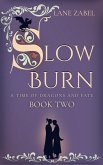 Slow Burn (A Time of Dragons and Fate, #2) (eBook, ePUB)