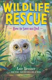 How to Save an Owl (eBook, ePUB)