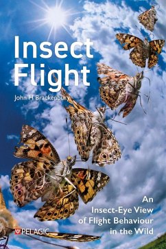 Cover Insect Flight (eBook, ePUB)