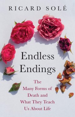 Cover Endless Endings (eBook, ePUB)