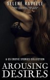 Arousing Desires - A 65 Erotic Stories Collection (eBook, ePUB)