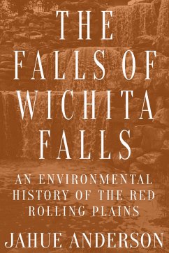 Cover The Falls of Wichita Falls (eBook, ePUB)