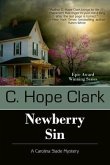 Newberry Sin (eBook, ePUB)