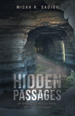 Cover Hidden Passages (eBook, ePUB)